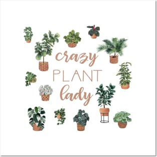 Crazy plant lady Posters and Art